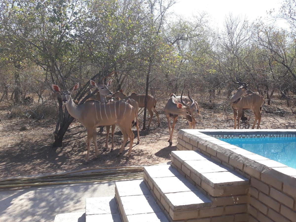 Wild Escape Villa Marloth Park Exterior photo