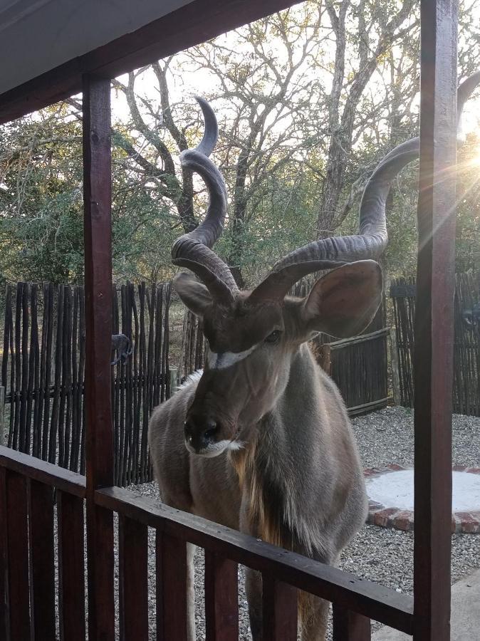Wild Escape Villa Marloth Park Exterior photo